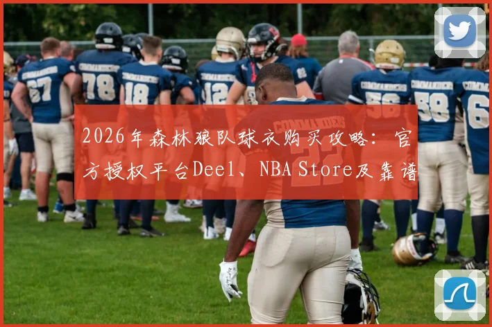 2026年森林狼队球衣购买攻略：官方授权平台Deel、NBA Store及靠谱代购渠道对比分析，附真假鉴别与转运指南